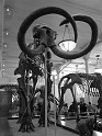 Kids-NYC_AMNH_3-2014 (98)